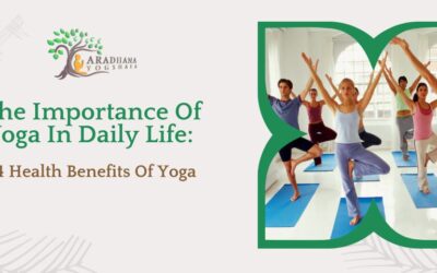The Importance Of Yoga In Daily Life: 14 Health Benefits Of Yoga