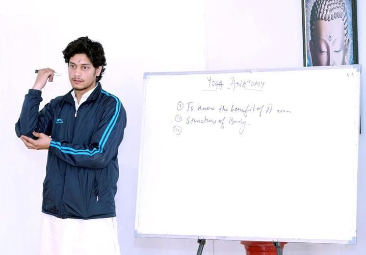 Perfect Yoga Teacher Training Program for First-Time Practitioners