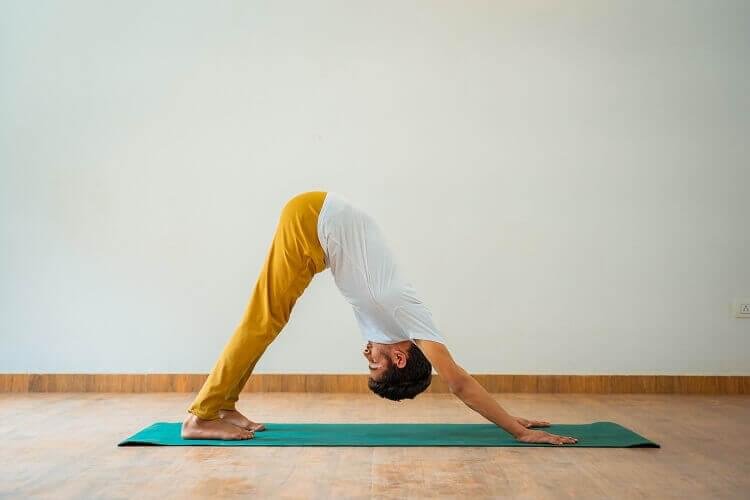 Learn Authentic Yoga from Expert Gurus in Rishikesh